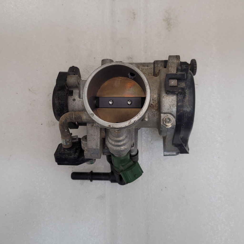 Throttle Body Assy