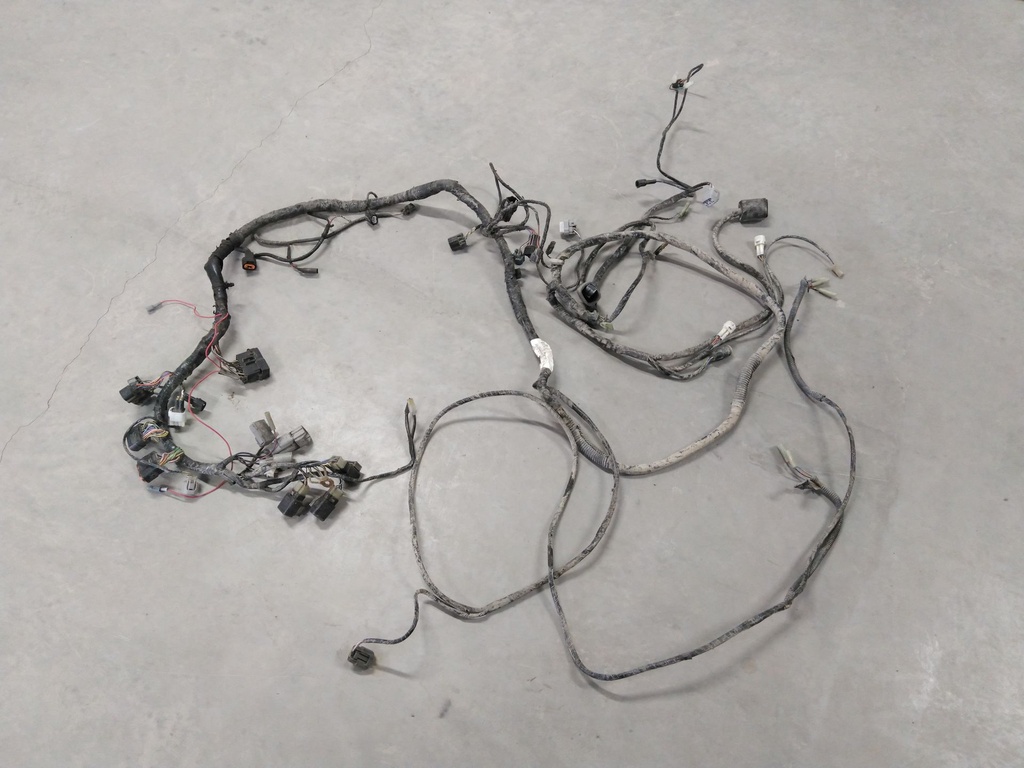 HARNESS,MAIN