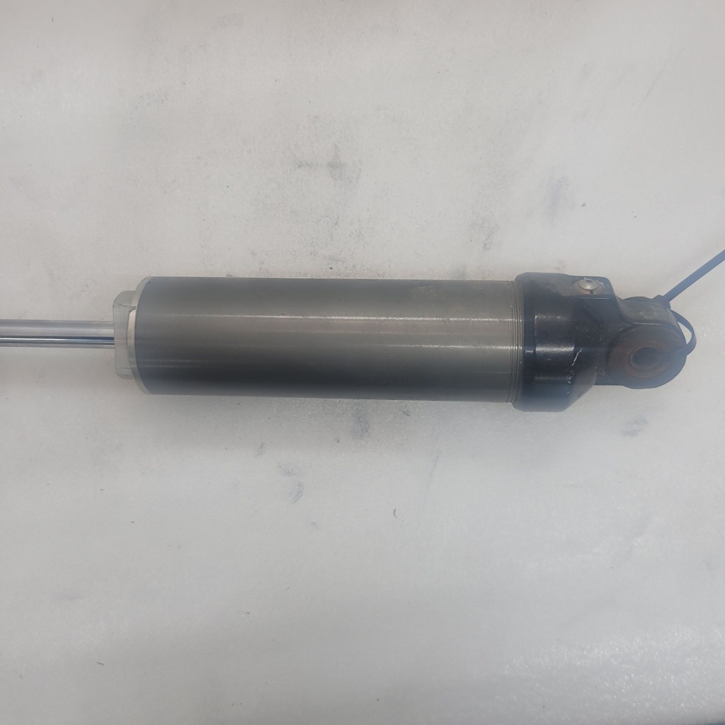shock, rear arm