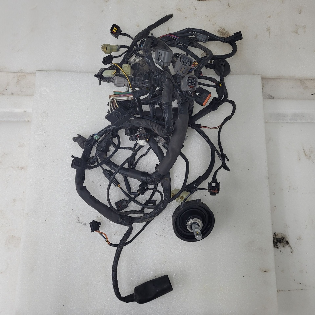 harness,main