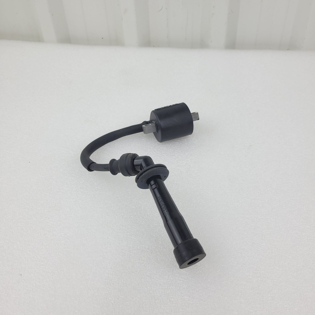 coil assy,ignition