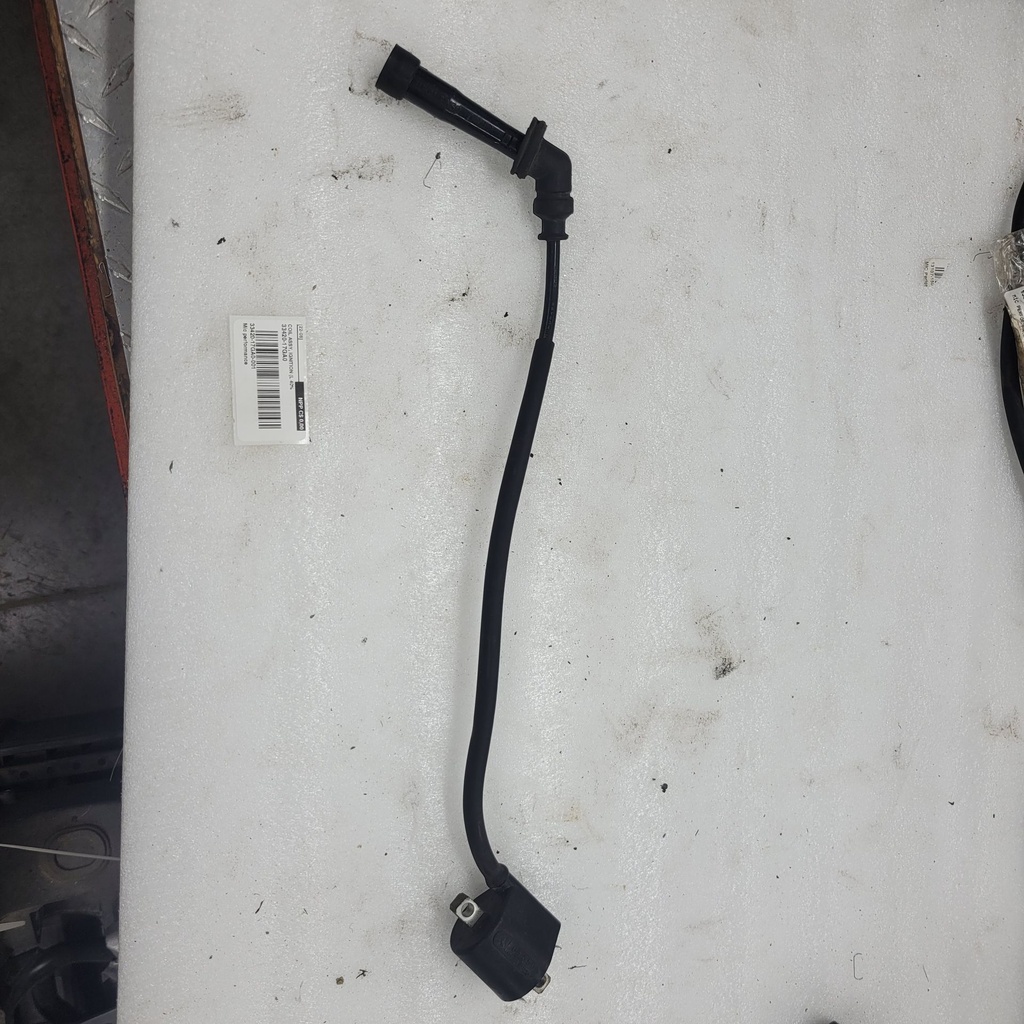 COIL ASSY, IGNITION