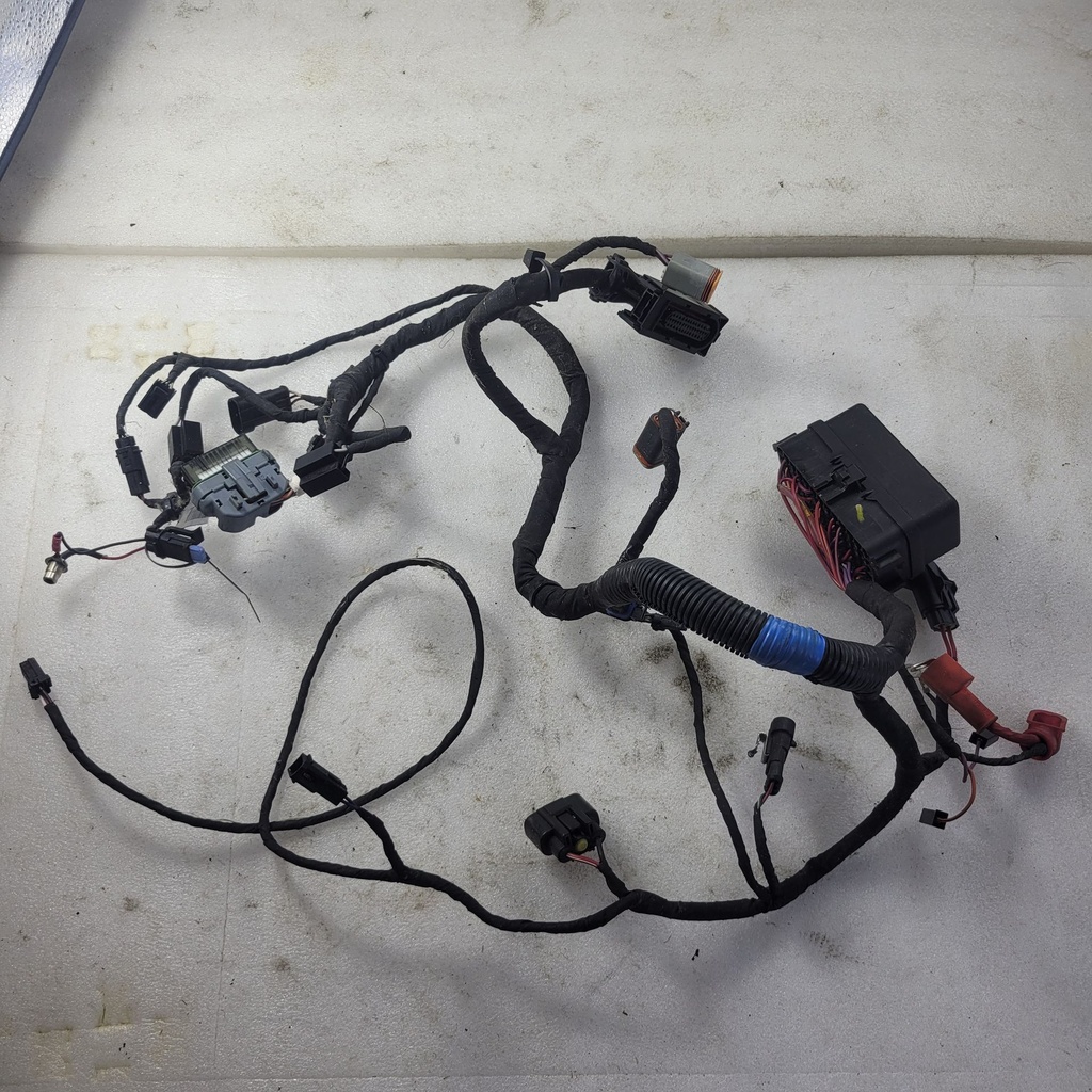 MAIN HARNESS ASS
