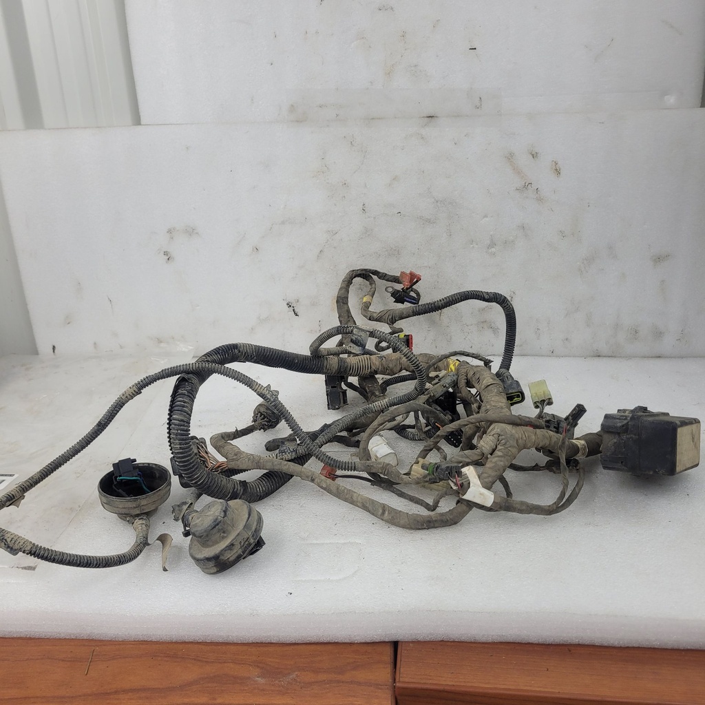 main wiring harness