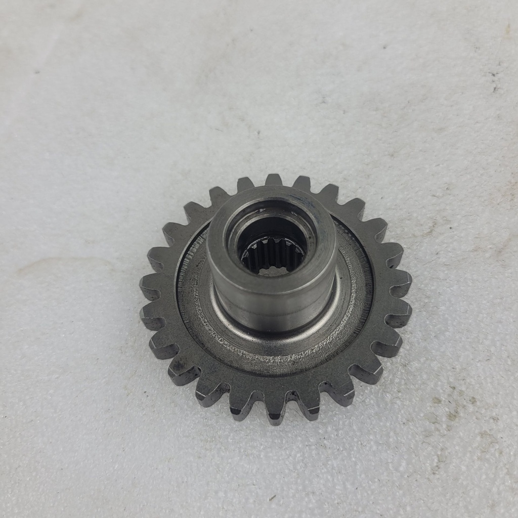 gear,primary drive
