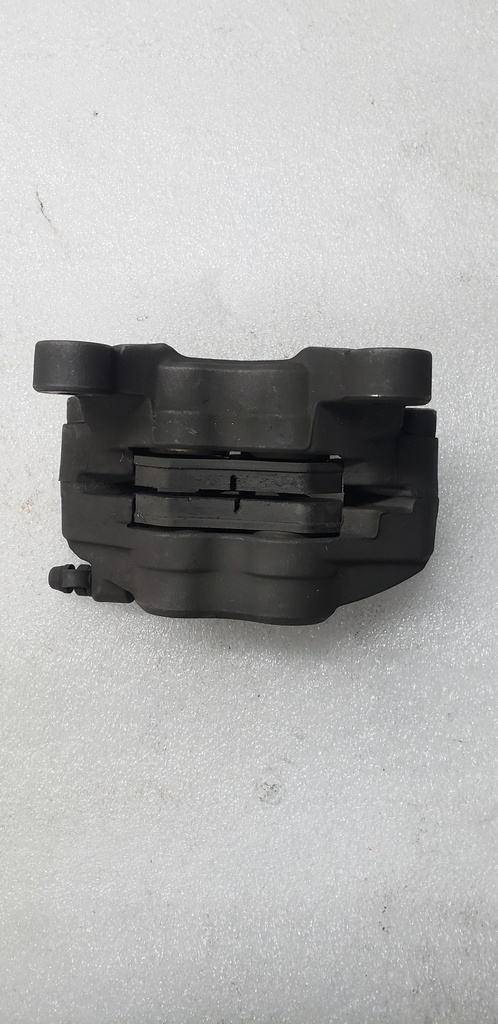 Caliper Assy (Left)