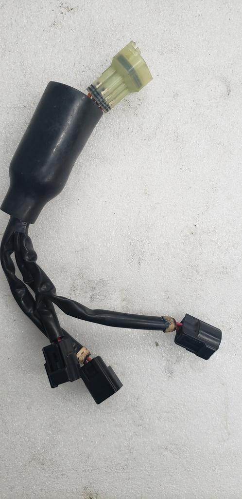 lead wire assy