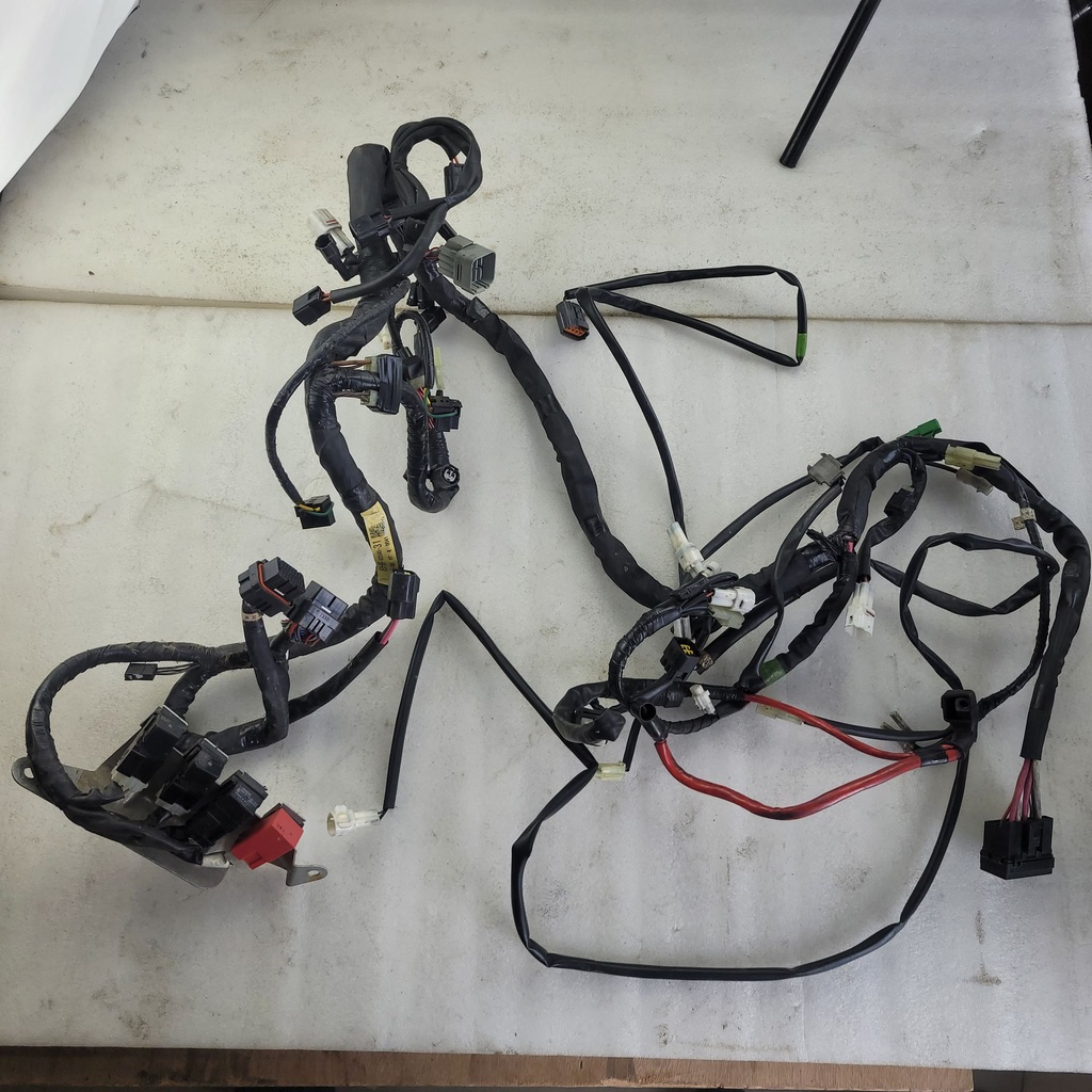 Wire Harness Assy