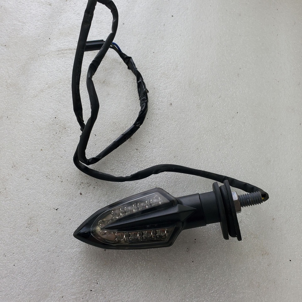 FRONT FLASHER LIGHT ASSY 2
