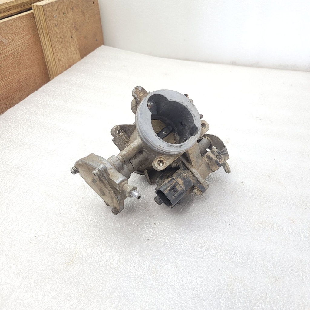 Throttle Body Assy