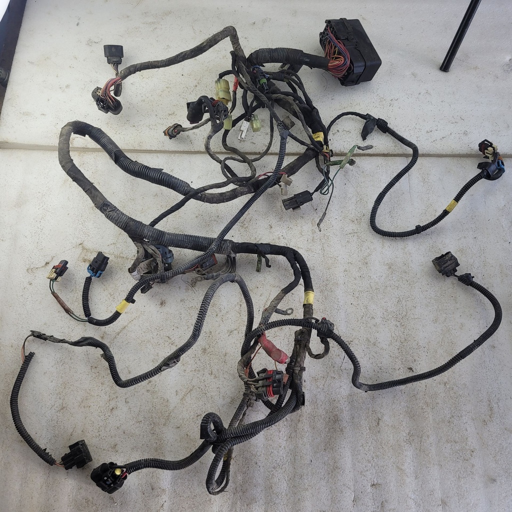 harness ass'y model europe, t3
