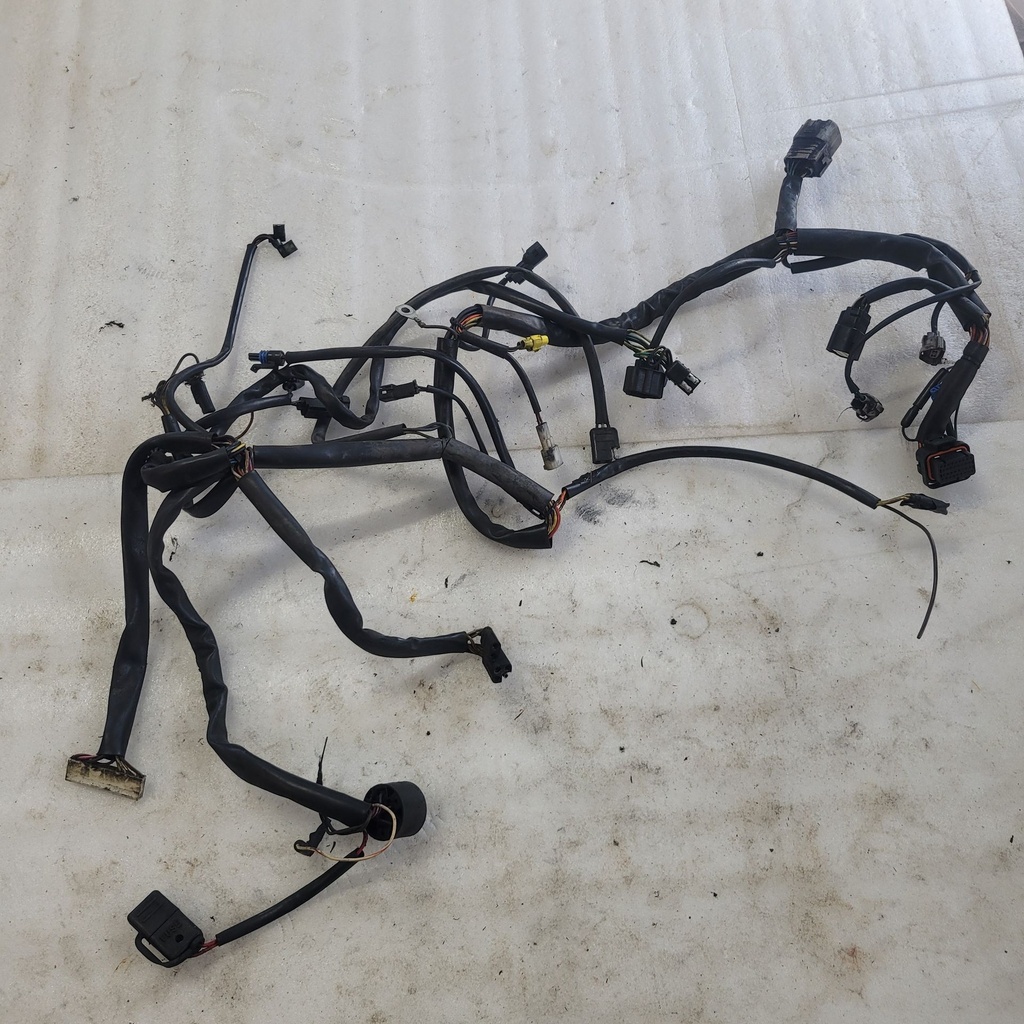 MAIN HARNESS