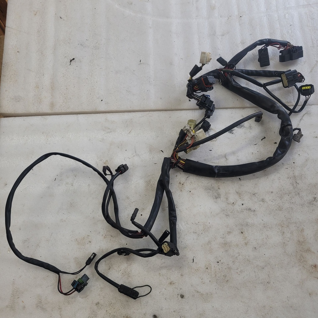 Harness, Main