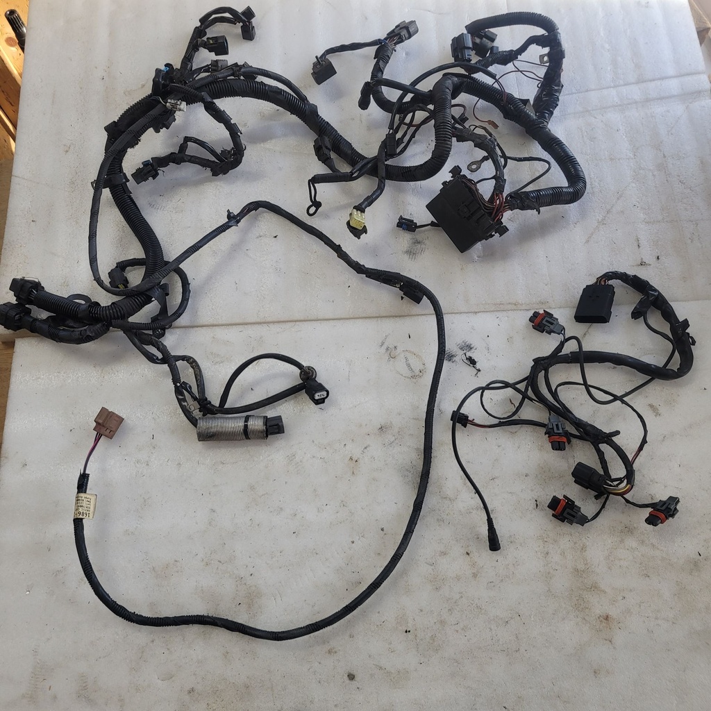 HARNESS MAIN
