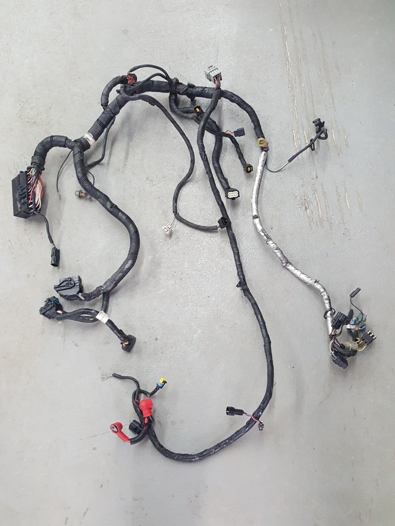 harness, main (inc. 11-19)
