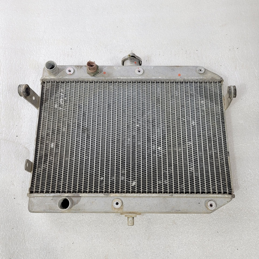 radiator assy