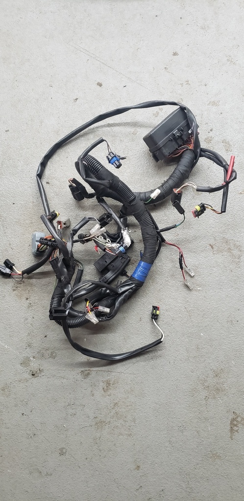 Main Harness