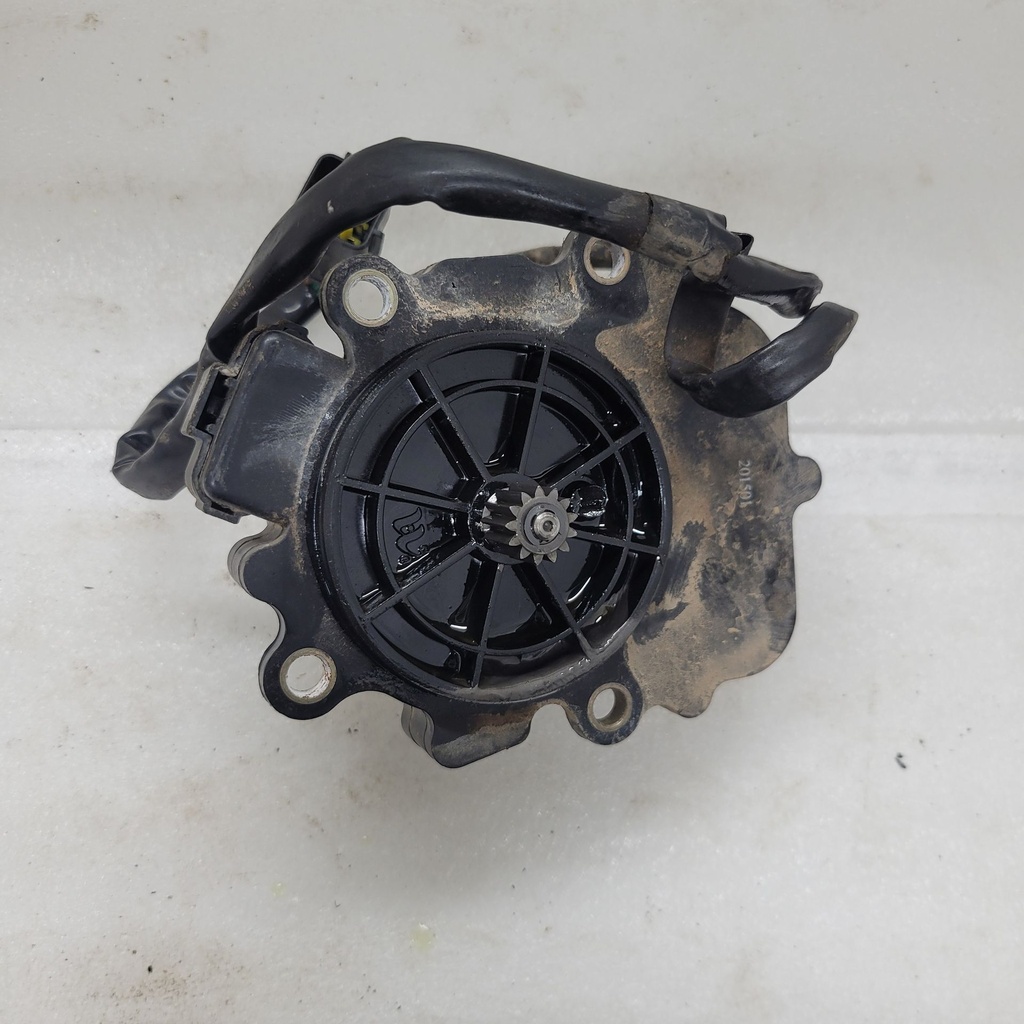 gear motor