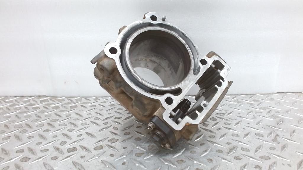 (new ref. 420413111) cylinder with sleeve, front