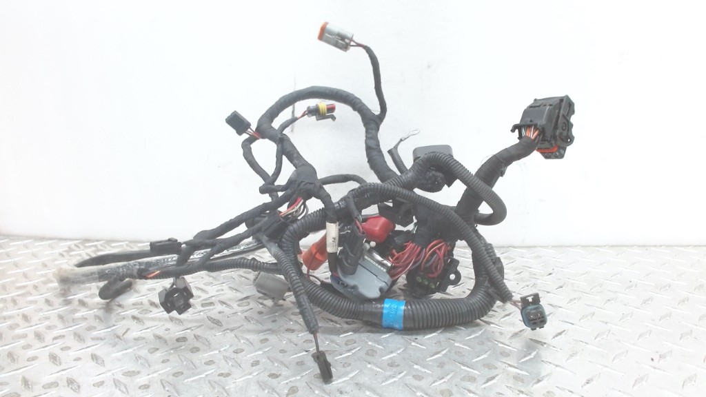Main Harness Ass'y