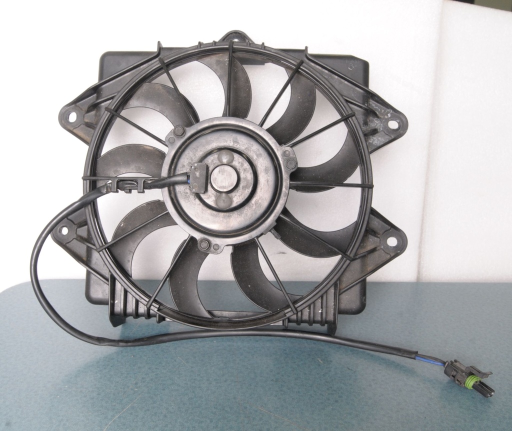 fan