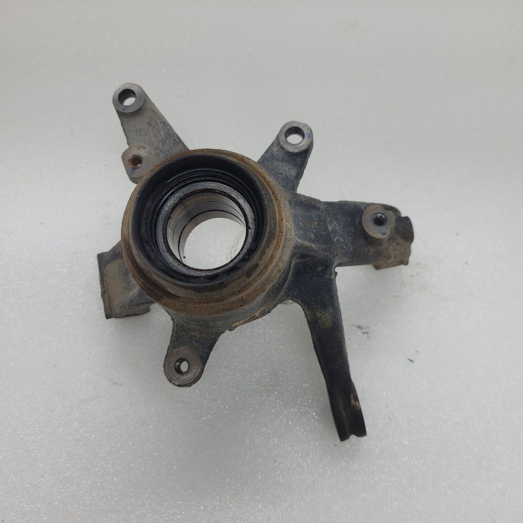 Steering Knuckle Assy (Left) (USA)