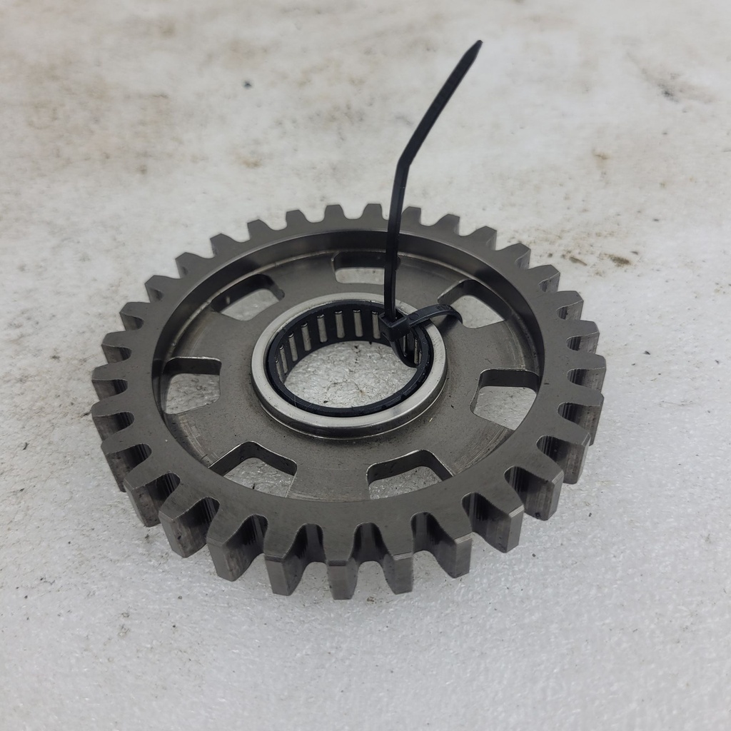 pigion gear, 31 teeth