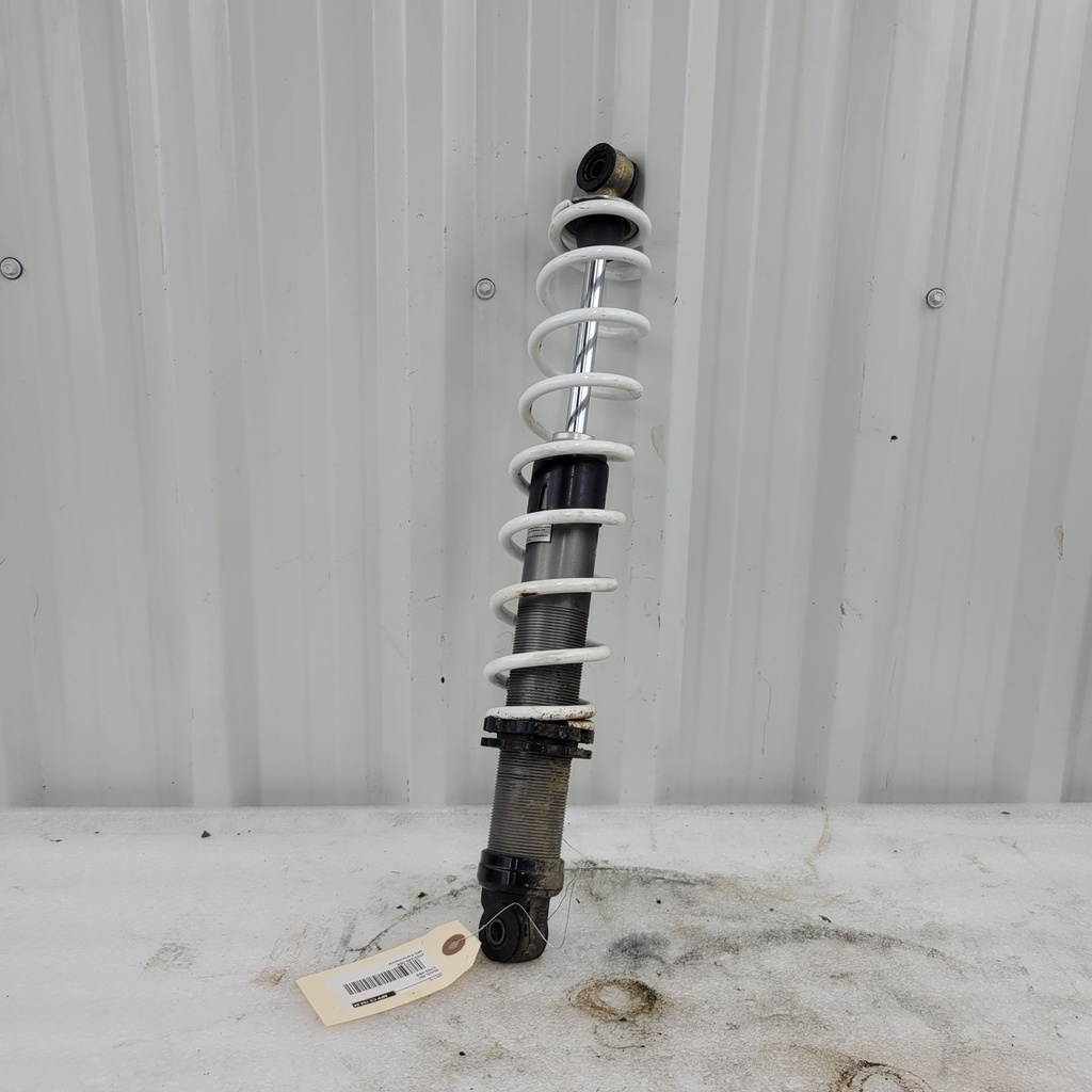 Shock, Ski