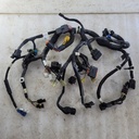 MAIN-HARNESS