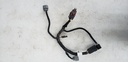 HOOD HARNESS, 550