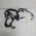 POLARIS-MAIN HARNESS, LE STD-2411810