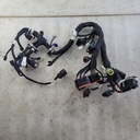 HARNESS-MAIN LE STD