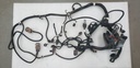 MAIN HARNESS, SPORTSMAN 450 H.O