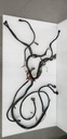 HARNESS-MAIN,SPORTSMAN 50 - POLARIS - 2461041 polaris
