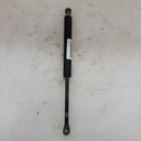 GAZ SHOCK