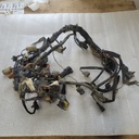 HARNESS,MAIN