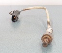 sensor, oxygen