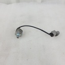 Sensor, Knock - Assembly