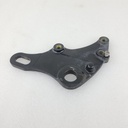 rear brake caliper support