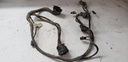 BOMBARDIER Engine Wiring Harness Ass - 420265838