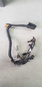 BOMBARDIER WIRING HARNESS - 420664318