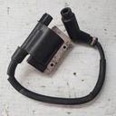 BOMBARDIER COIL - 420665715