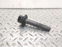 BRP (Can-am / Ski-doo)-(new ref. 420665811) stick coil-420665810