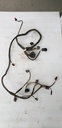 Engine Wiring Harness - Can-Am - 420666333