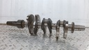crankshaft ass'y