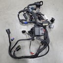 chassis wiring harness