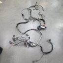 chassis harness, rzr s 1000