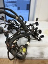 Harness, Main |