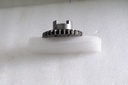 gear straight 29 teeth ass'y