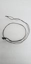 microswitch
